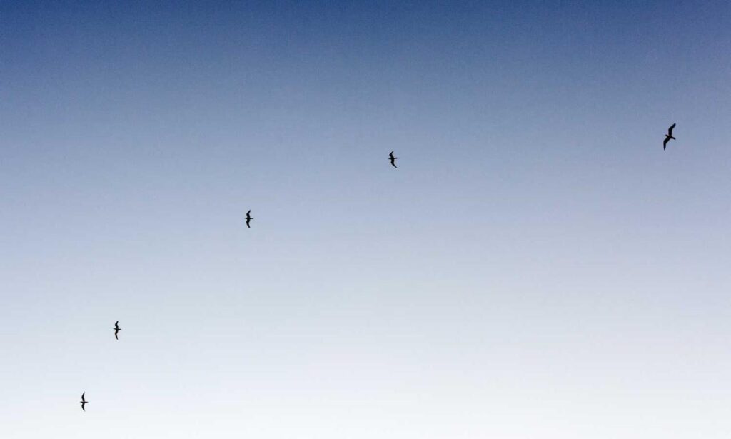 advertising ginkialuz housing ltd