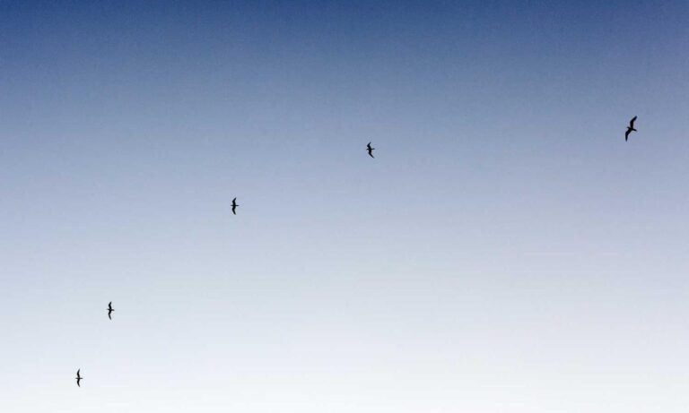 advertising ginkialuz housing ltd