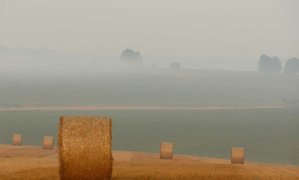 binance exchange drhcryptology