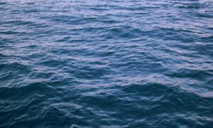 bitcoin tips drhcryptology