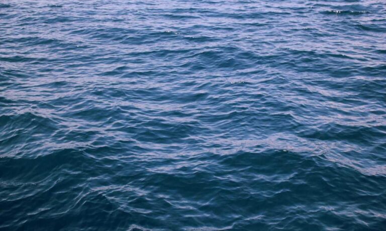 bitcoin tips drhcryptology