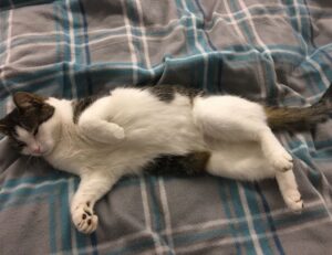 crypto guide drhcryptology