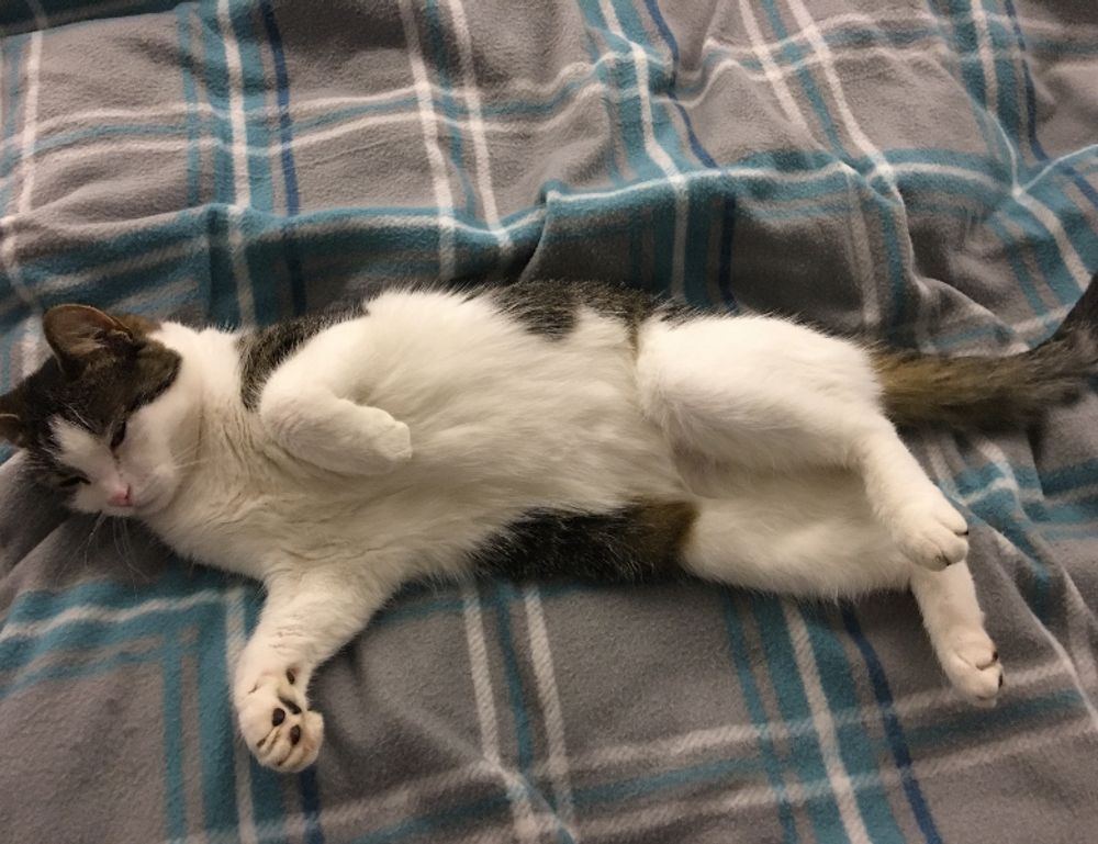 crypto guide drhcryptology