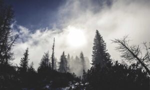 drhcryptology bitcoin tips from drhomey