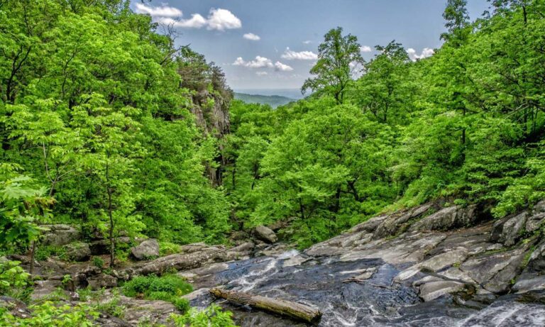 drhcryptology crypto guide by drhomey