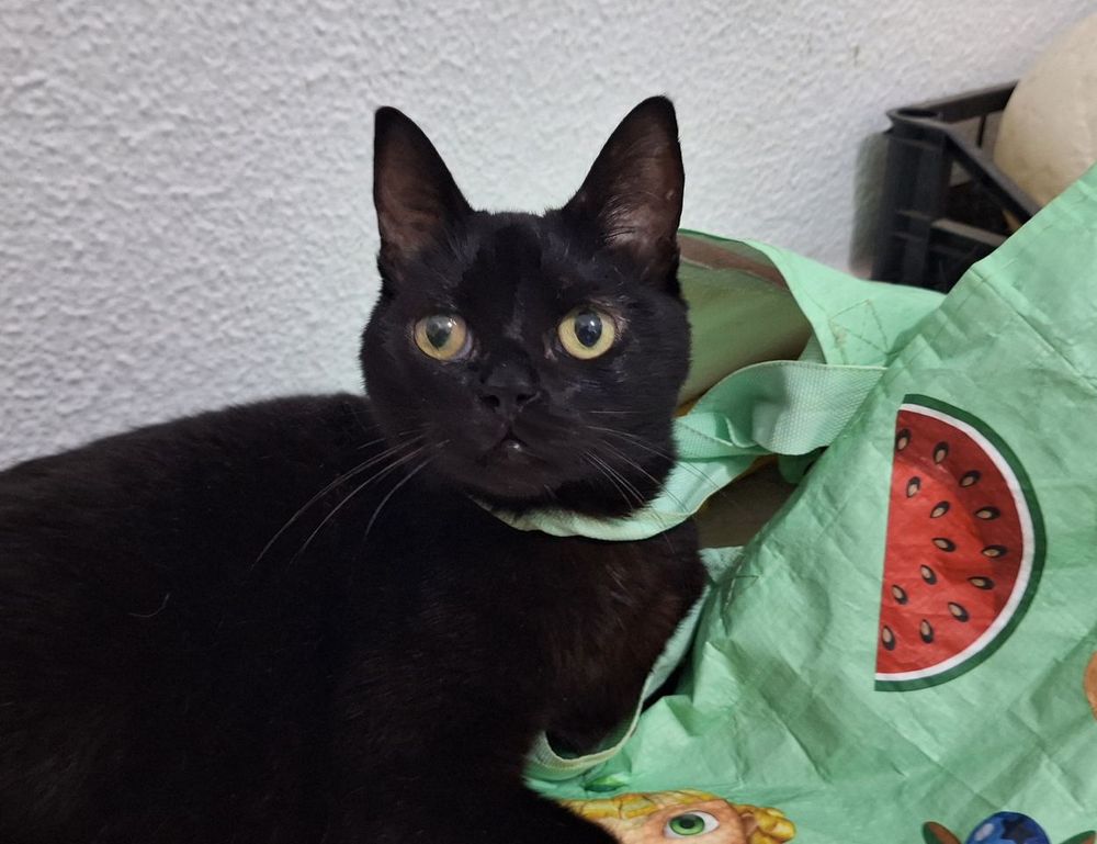 how do crypto charts work drhcryptology