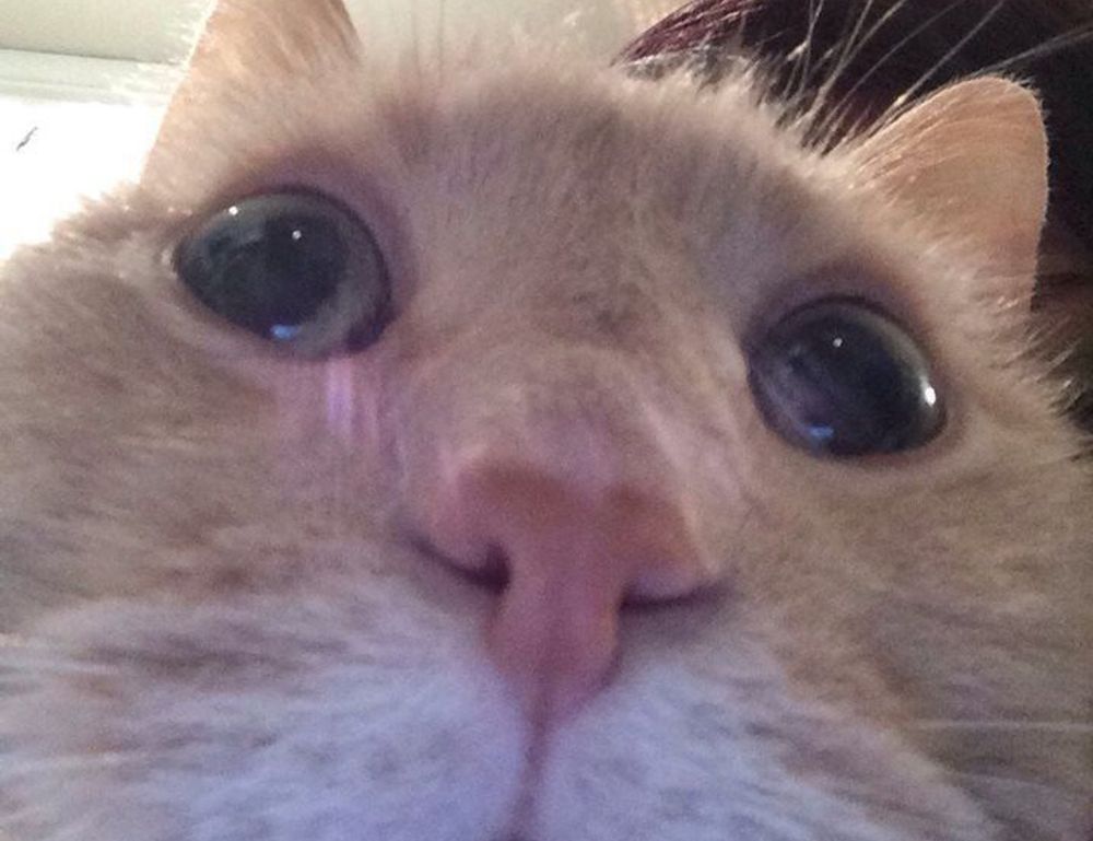 how to grill renkooki