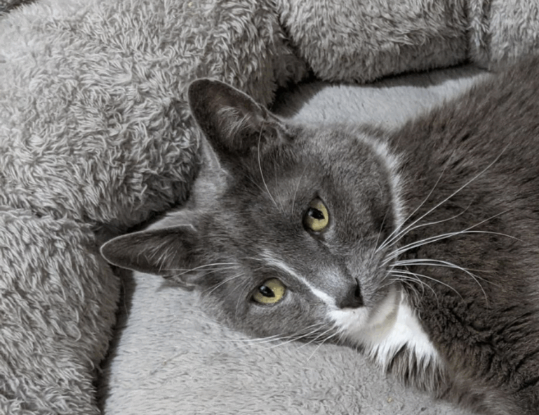 is marshock200 the best pc game 2023