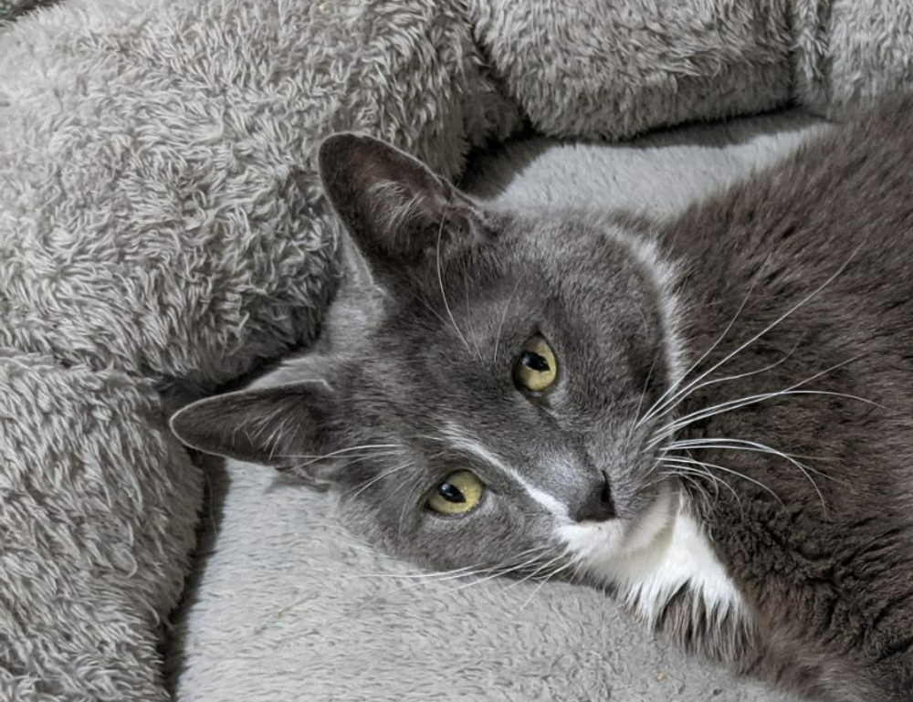 is marshock200 the best pc game 2023