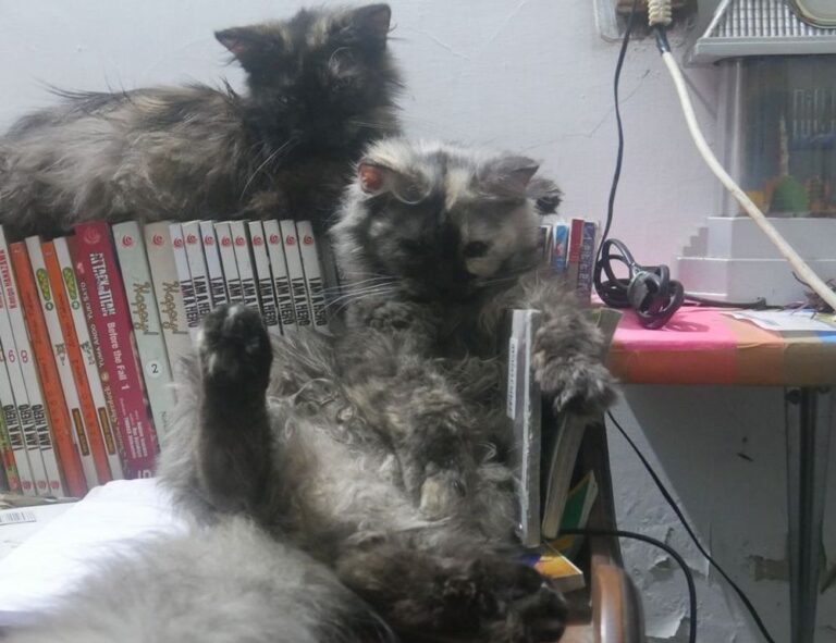 what is the most profitable nft etrsnft