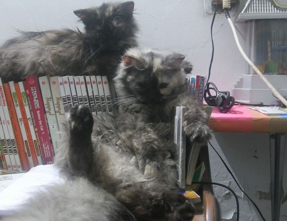 what is the most profitable nft etrsnft