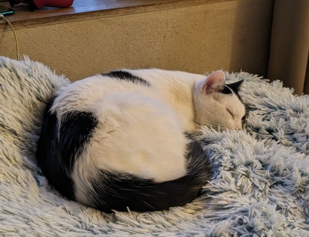 which crypto to buy for beginners drhcryptology