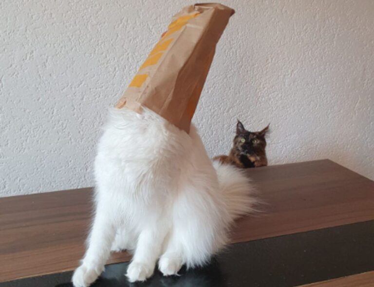 why zc jovapong hotel is cheap