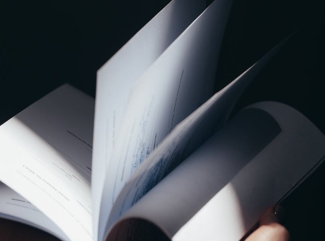 Narratives in Frame: The Recurring Themes and Subjects She Explores