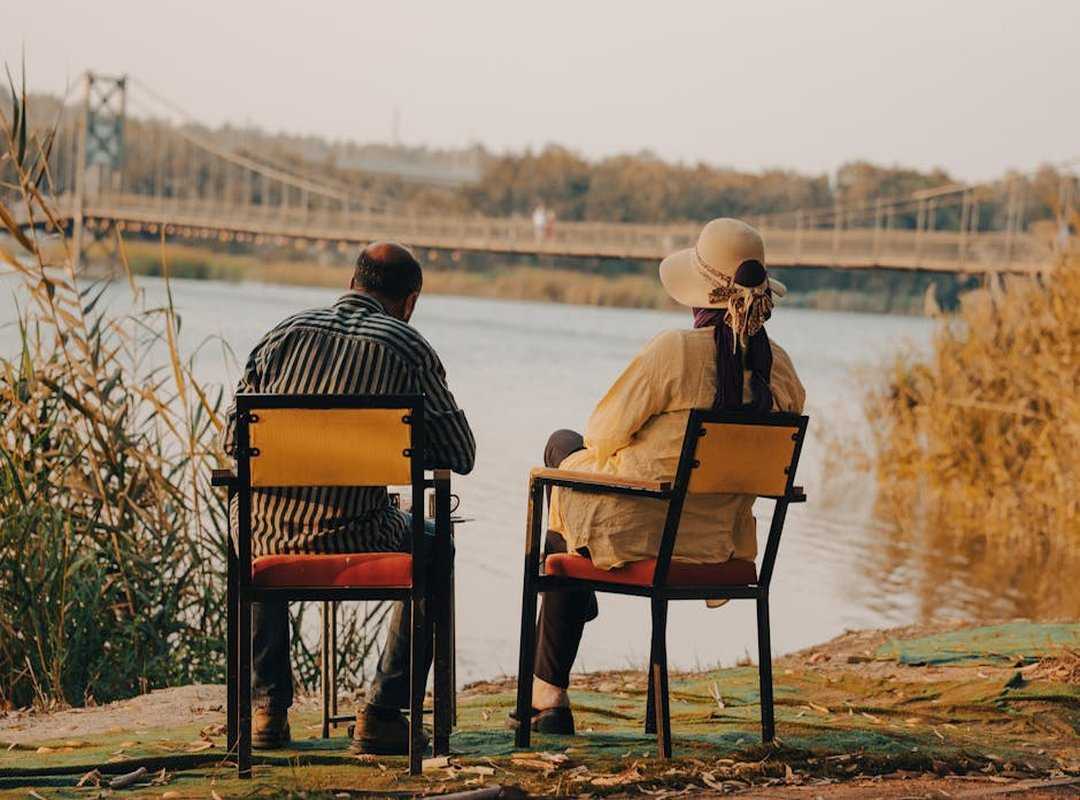 Bridge: A Moment of Reflection