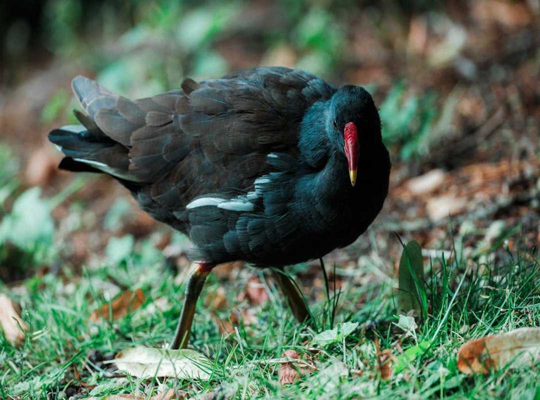 Poikien Hiusmallit 2024 Styling Tips and Maintenance