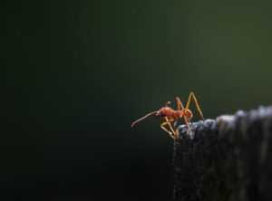 yeison jimenez antes y despues