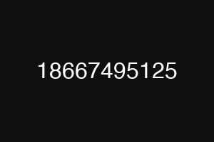 18667495125