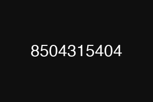 8504315404