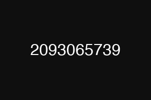 2093065739