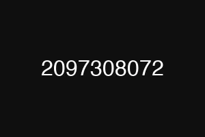 2097308072