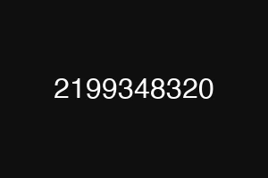 2199348320