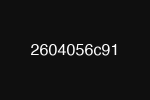 2604056c91