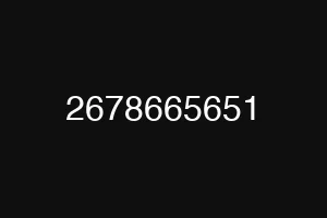 2678665651