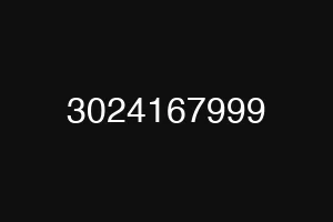 3024167999