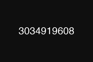 3034919608