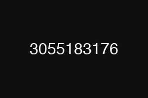 3055183176
