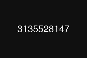 3135528147