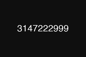 3147222999