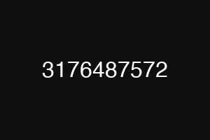 3176487572