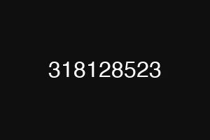 318128523