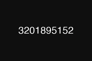3201895152