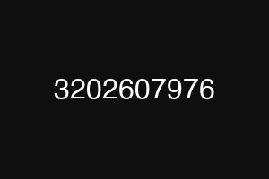 3202607976