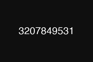 3207849531