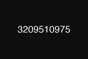 3209510975