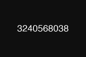 3240568038