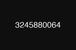3245880064