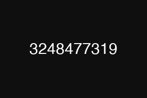 3248477319