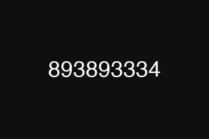 893893334